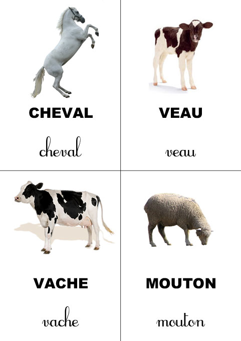 carte-nomenclature-animaux-ferme-mini-papo-1