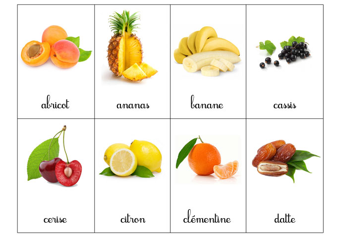 carte-nomenclature-fruit-1