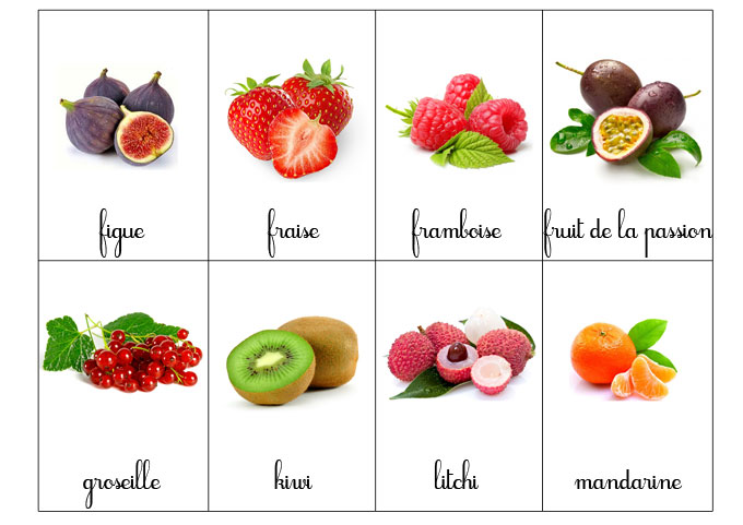 carte-nomenclature-fruit-2