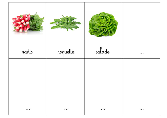 carte-nomenclature-legumes-4
