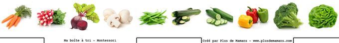 images-boite-de-tri-legumes